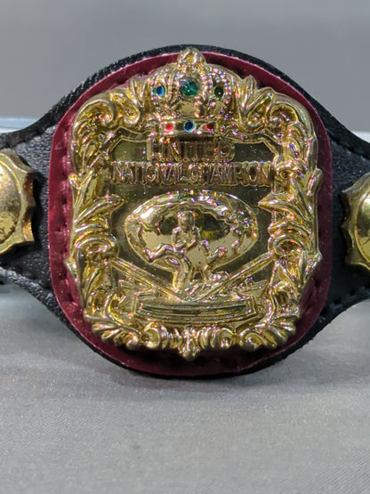 UN Heavyweight Championship Belt