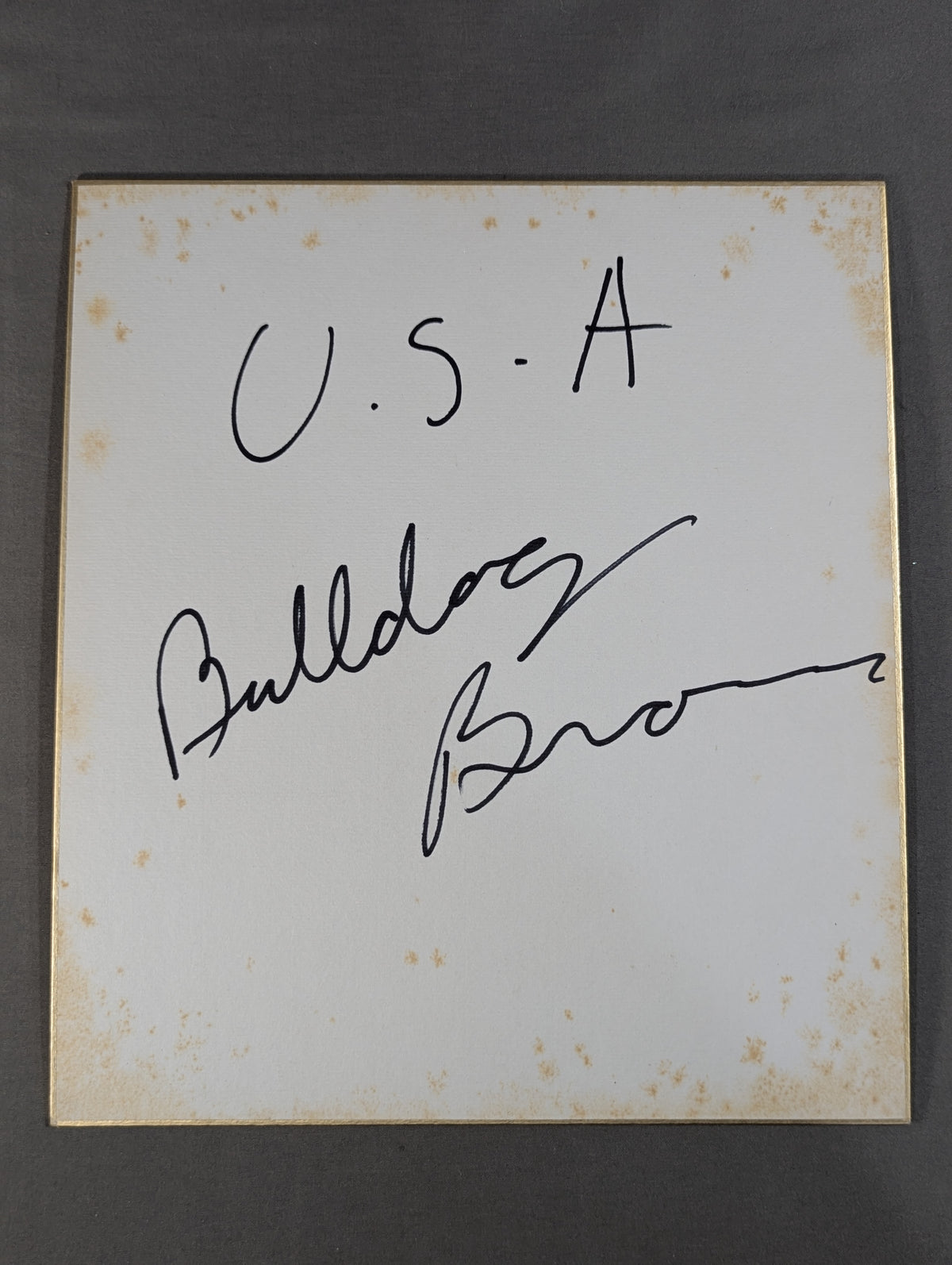 Bulldog Brown