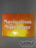 Navigation in November