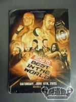 ROH ROAD TO BEST IN THE WORLD NASHVILLE