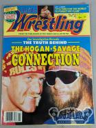 Inside Wrestling  1991年011月号